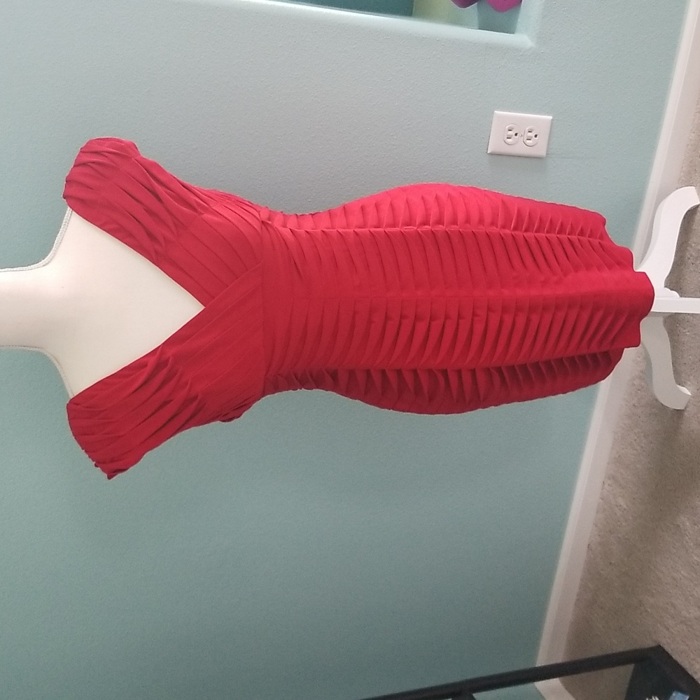 Adrianna Papell red dress.